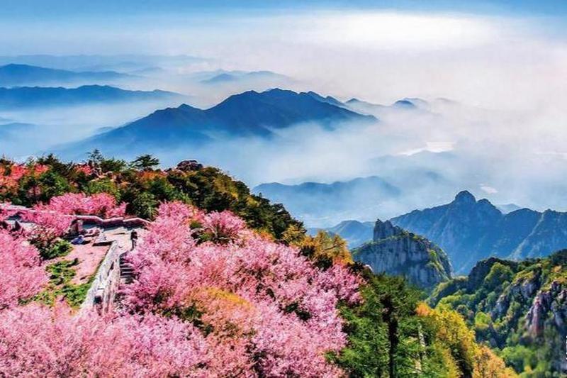 Mount Tai in Spring: Blossoms, Hiking Trails & Cultural Wonders