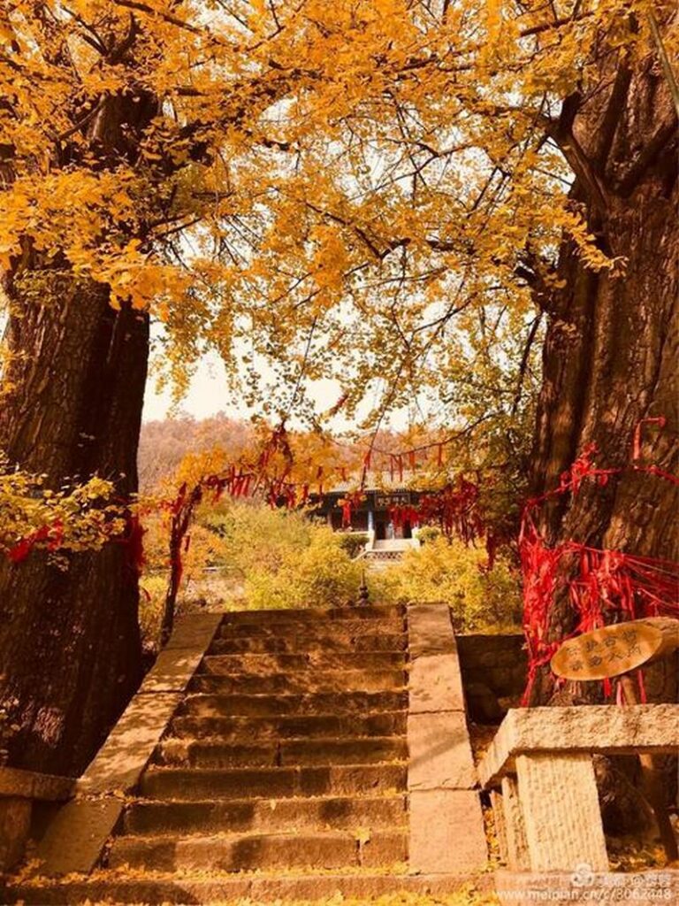 Mount Tai in Autumn: Where Sacred Majesty Meets Nature’s Fireworks